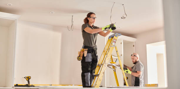 Best Electric Panel Repair  in Bloomington, TX